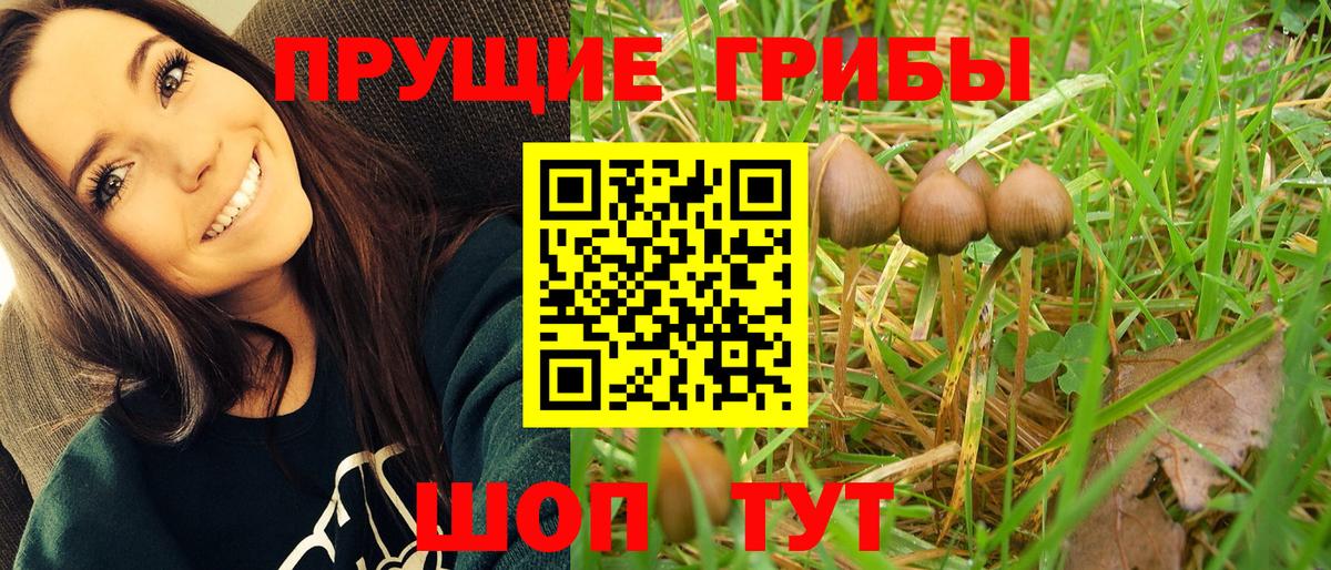Усолье-Сибирское  Псилоцибиновые грибы мухоморы  Вход с VPN  Галлюциногенные грибы Psilocybine cubensis 