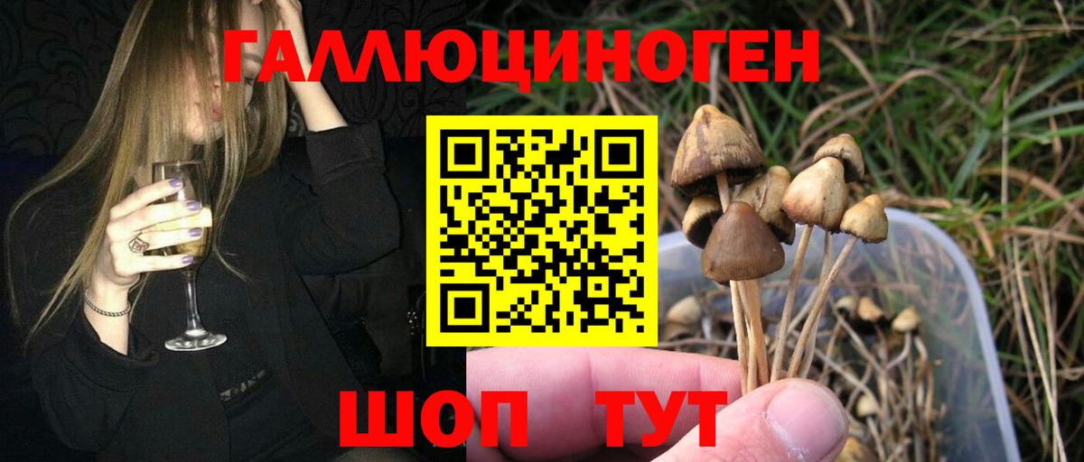 Псилоцибиновые грибы MAGIC MUSHROOMS Усолье-Сибирское